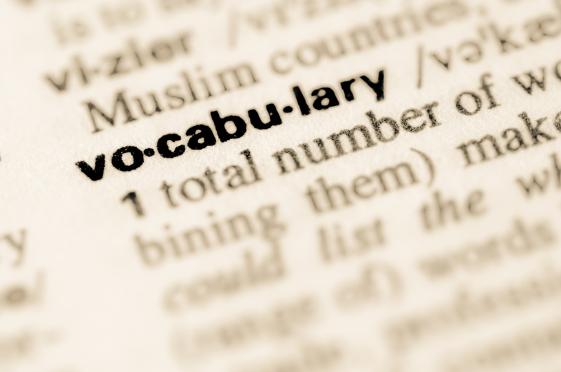 Dictionary definition of word vocabulary